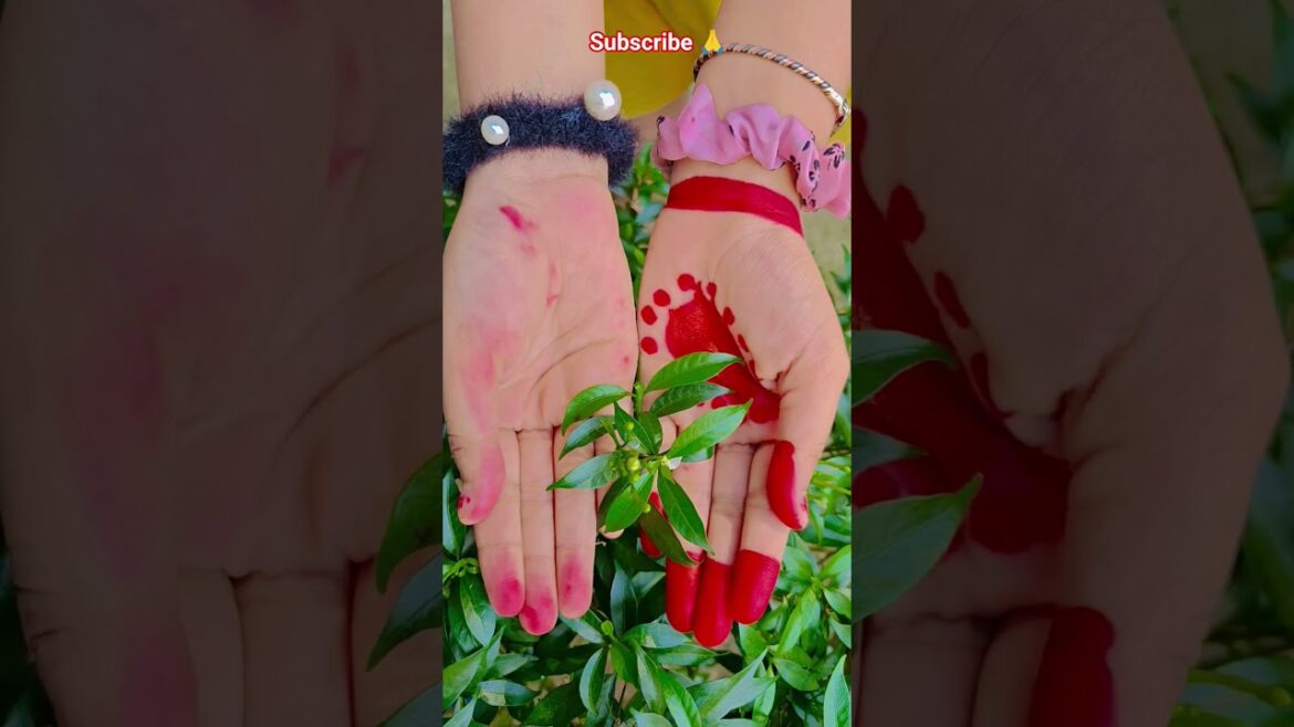 ফুল নিয়ে টিকটক #gardening #youtubeshorts #UpdateGardening #garden #youtubeshort #flowers #rose ফুল নিয়ে টিকটক #gardening #youtubeshorts #UpdateGardening #garden #youtubeshort #flowers #rose