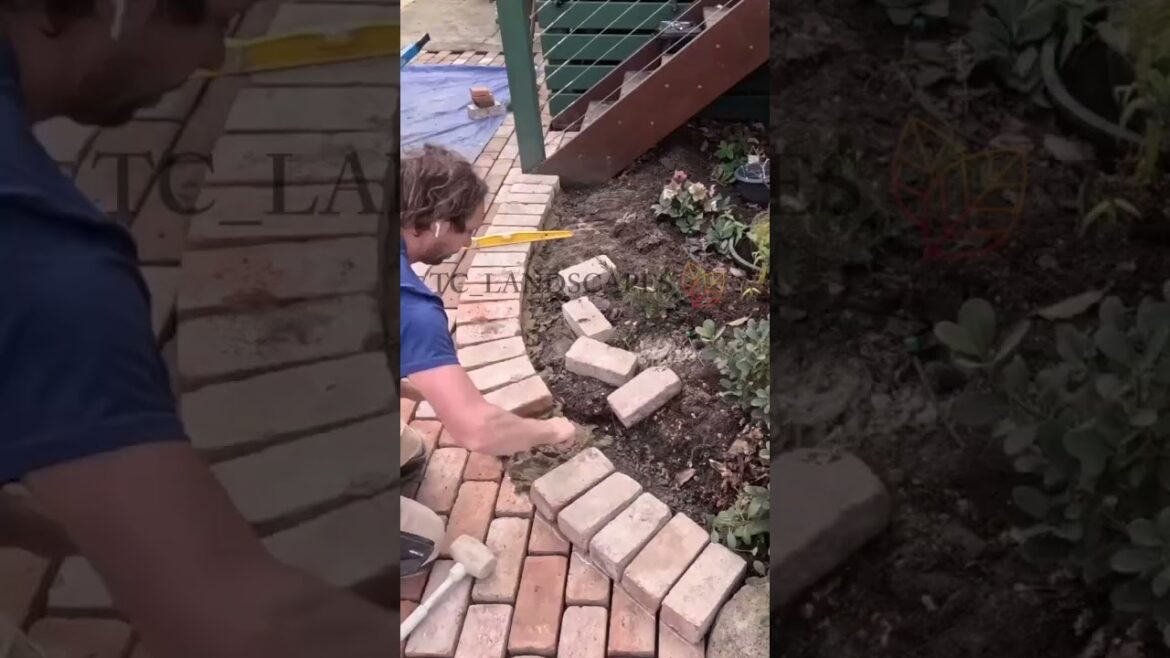 courtyard pave and grout