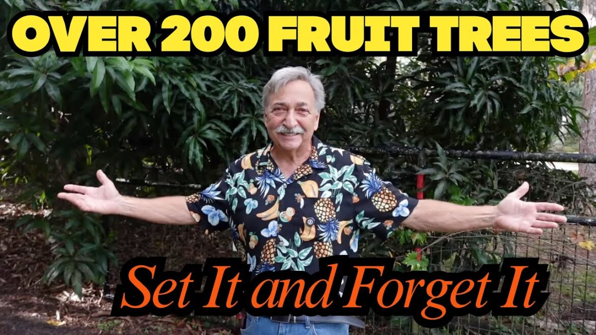 Growing Fruit Trees Without Spraying Watering or Overthinking Growing Fruit Trees Without Spraying Watering or Overthinking