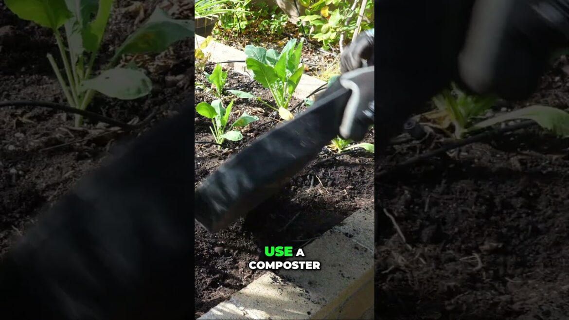 California Gardening: Compost 101: The Fastest Way to Boost Soil Quality #shorts Compost 101: The Fastest Way to Boost Soil Quality #shorts