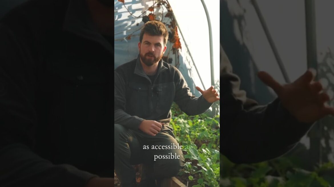 How Compost Holds Back So Many Gardeners #gardening