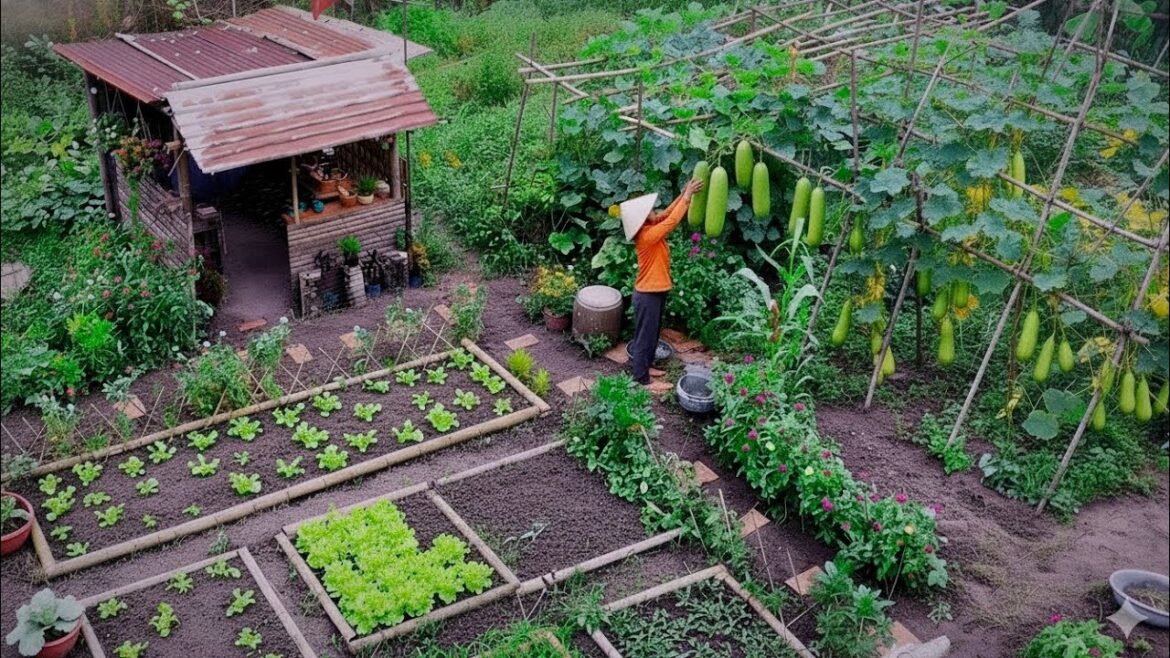 A Peaceful Day Hidden in My Little Garden A Peaceful Day Hidden in My Little Garden