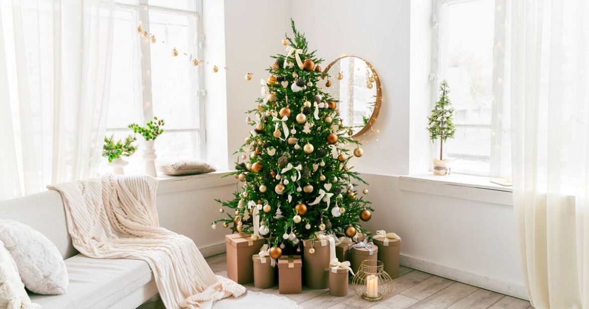 Gardeners told ‘don’t throw away your Christmas tree this January’ Daily Mirror