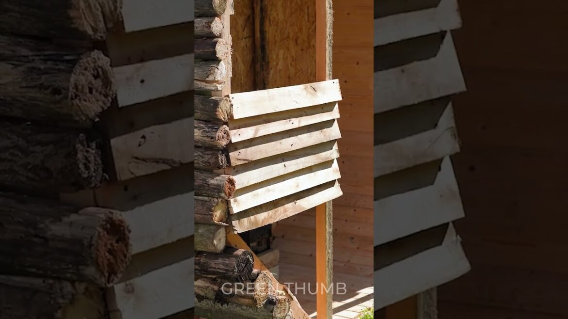 Easy DIY: Build Tiny Sauna and Boost Your Backyard 🔥