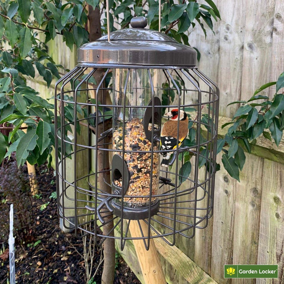 Large Heavy Duty Squirrel Proof Bird Feeder 
