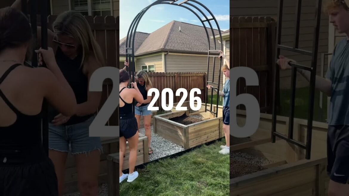 If you want 2026 to be your perfect garden year, you better start planning! #garden #landscaping If you want 2026 to be your perfect garden year, you better start planning! #garden #landscaping