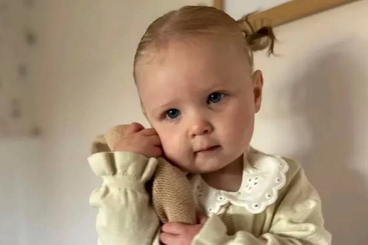 A young child, dressed in a light-colored garment, holds a stuffed animal and gazes intently at the camera with a curious expression. The background features a simple, white wall.
