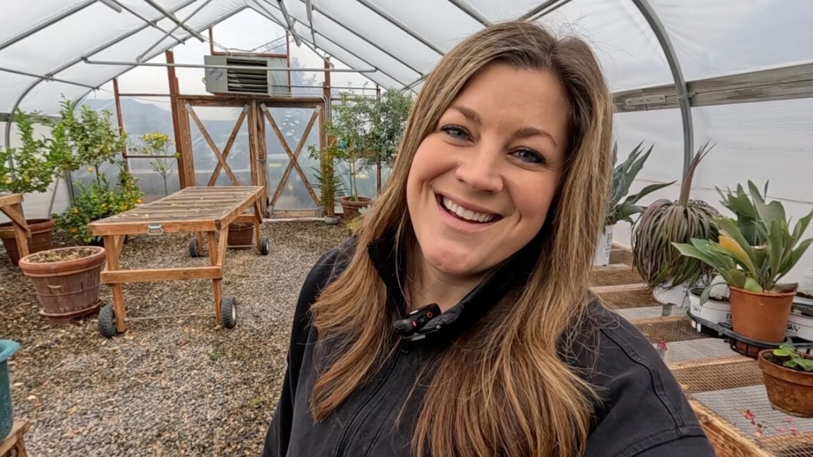 Garden Answer: Repotting in the Greenhouse, Watering the Studio & Baking Orange Pound Cake! 🪴💦🍊 Repotting in the Greenhouse, Watering the Studio & Baking Orange Pound Cake! 🪴💦🍊
