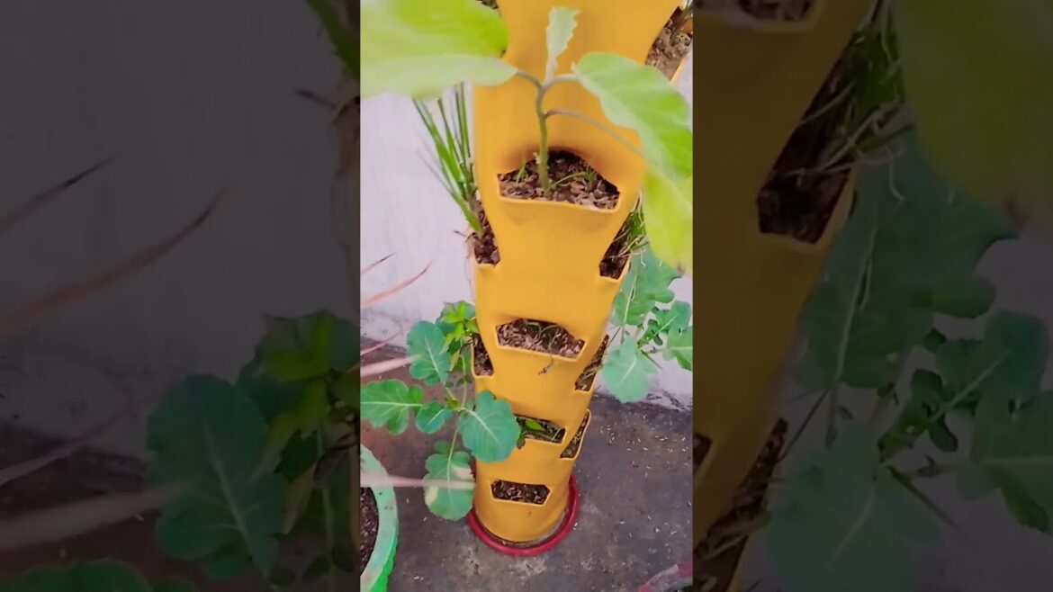 mk Gardening terrace Garden #gardening #gardendesign #verticalgarden #plants #love