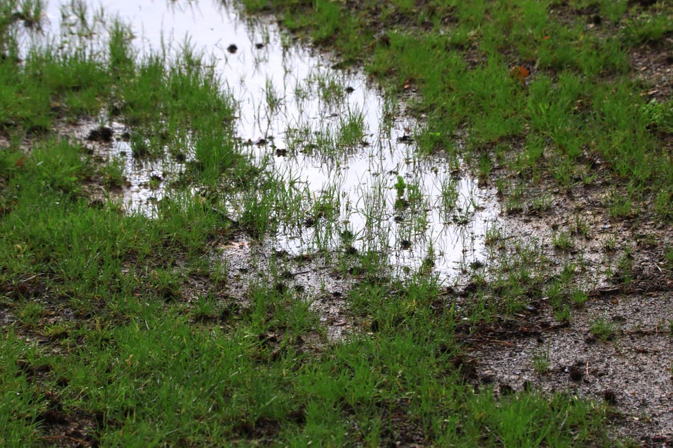 soil that has been drenched by rain