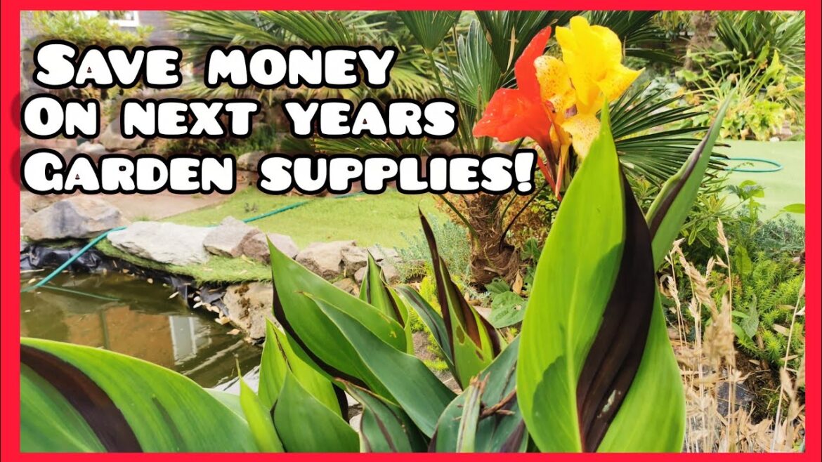 SAVE Money on your Gardening Supplies for Next Year! 🌴 Grab a BARGAIN While it Lasts!