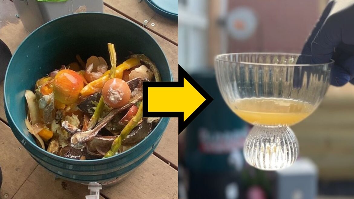 #5 Turning Food Scraps Into Liquid Gold For Our Small Backyard Garden #5 Turning Food Scraps Into Liquid Gold For Our Small Backyard Garden