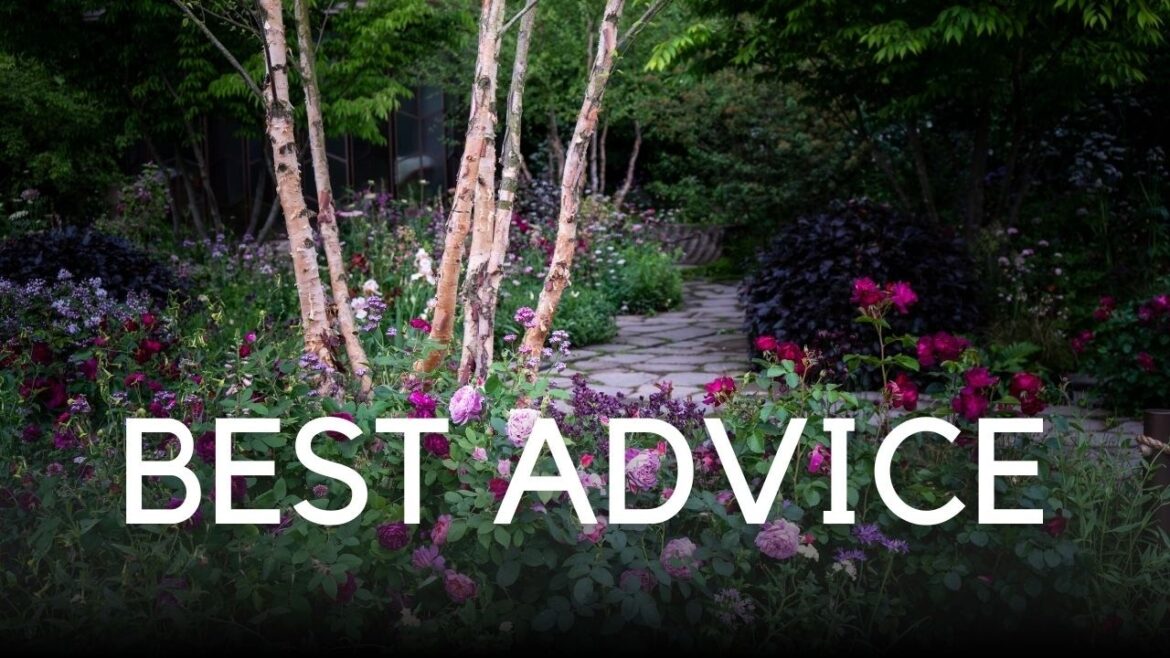 6 Gardening Lessons From 2025 You'll Use Forever