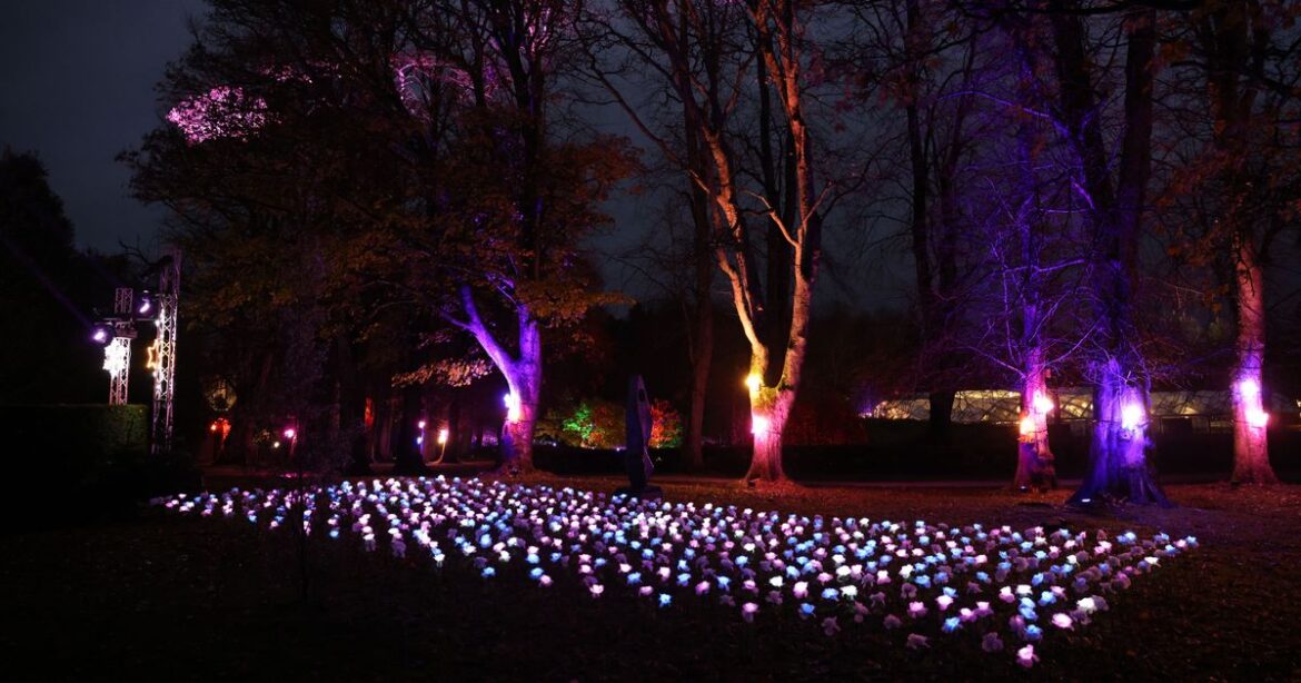 Winter Lights back on at Alnwick Garden in time for New Year’s Eve after power cut caused cancellation Chronicle Live