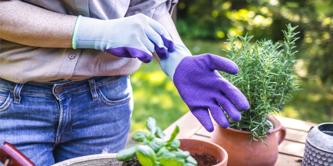Best gardening gloves: protect your hands from thorns and dirt Best gardening gloves: protect your hands from thorns and dirt