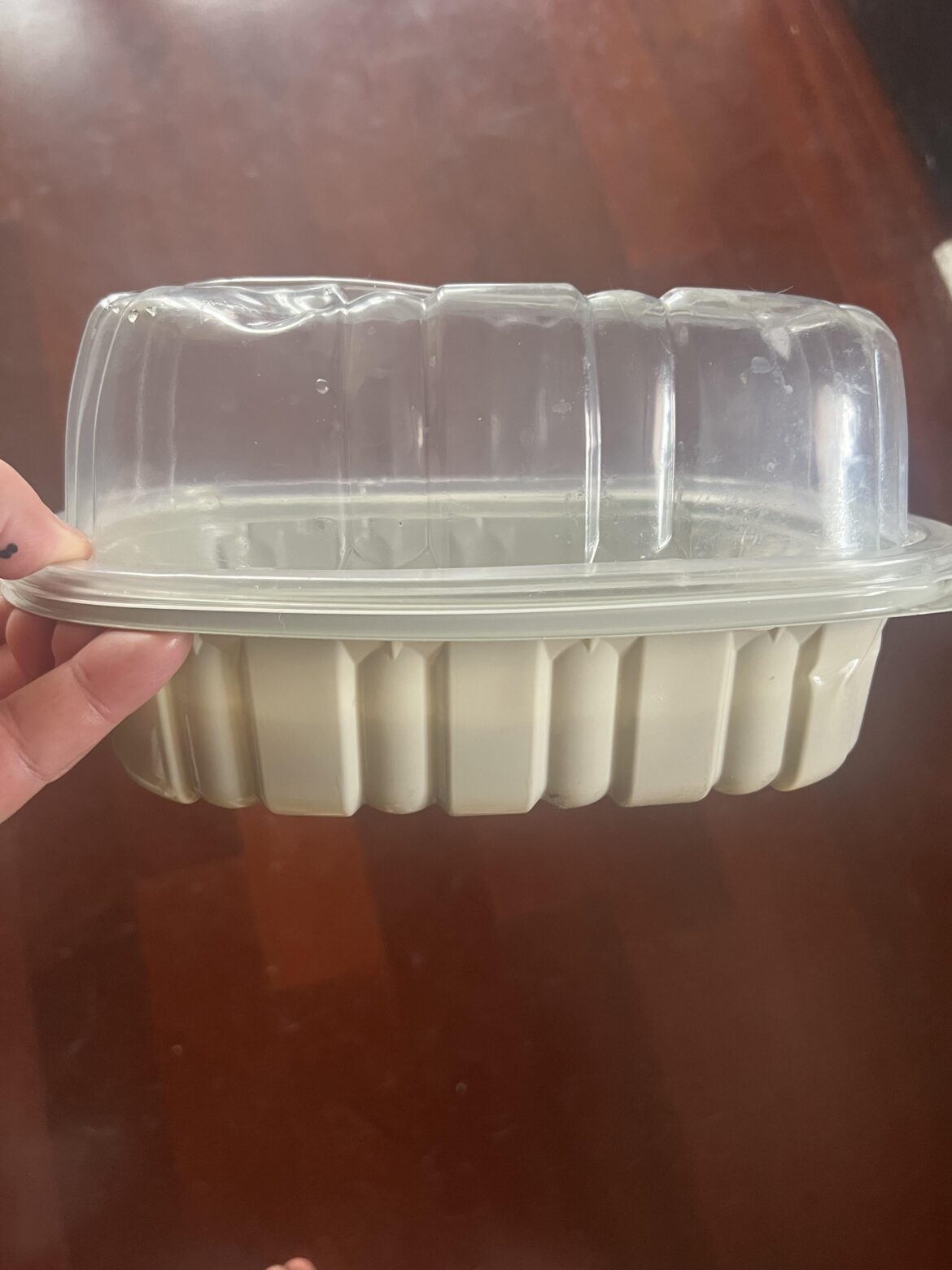 Wintersowing in rotisserie containers