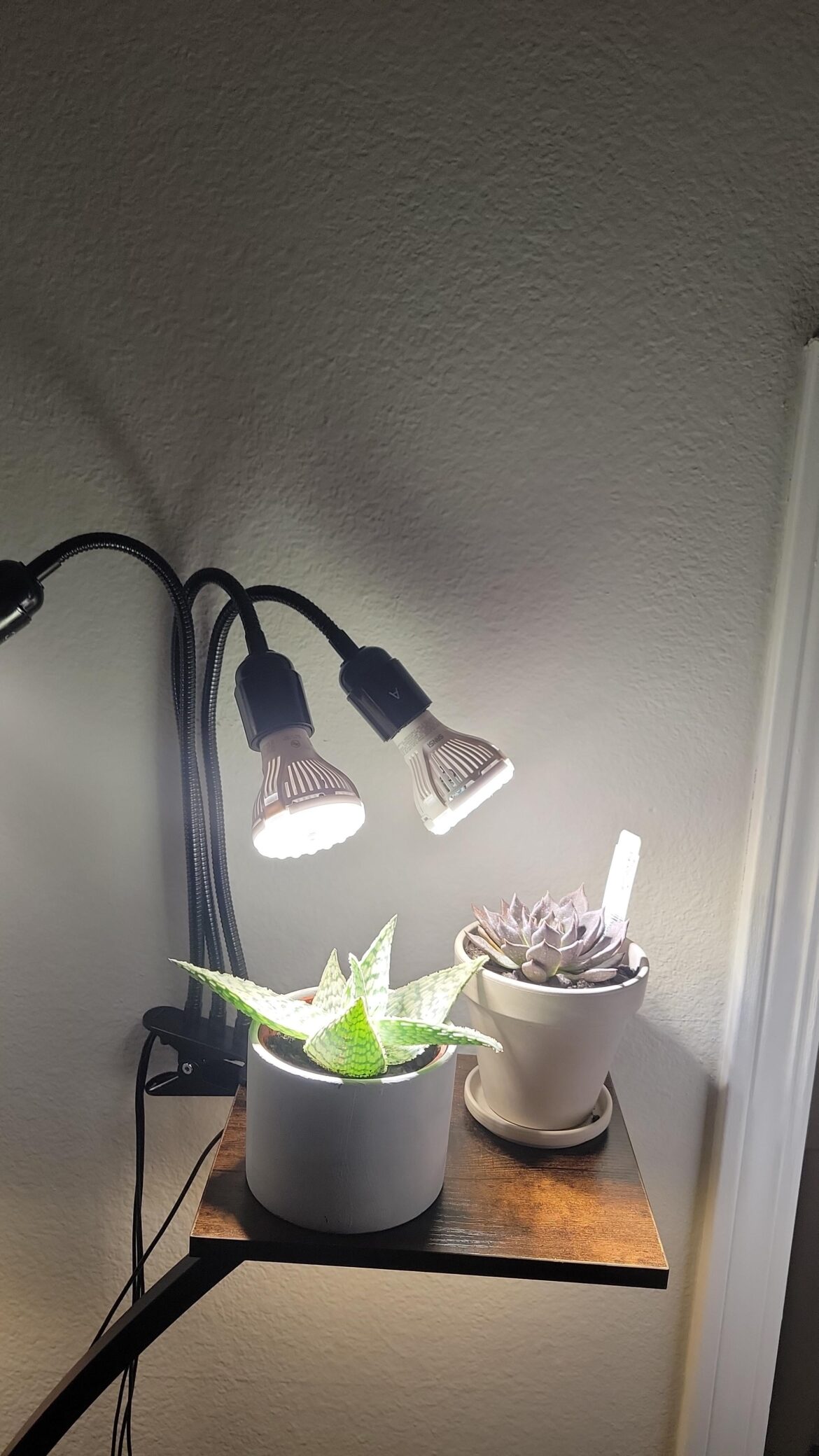 Is this too close with this new light??