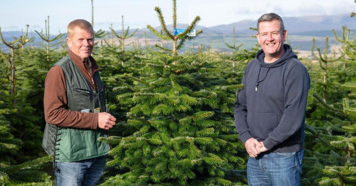 Swindon schools get free Christmas trees from garden centre Swindon schools get free Christmas trees from garden centre