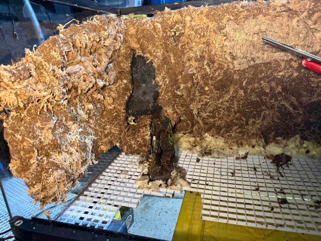 Waterfall question / substrate recommendations