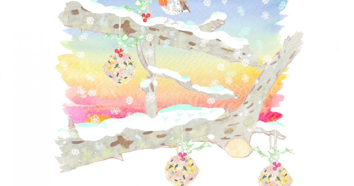 Holly trees and winter birds in a Cotswold garden.