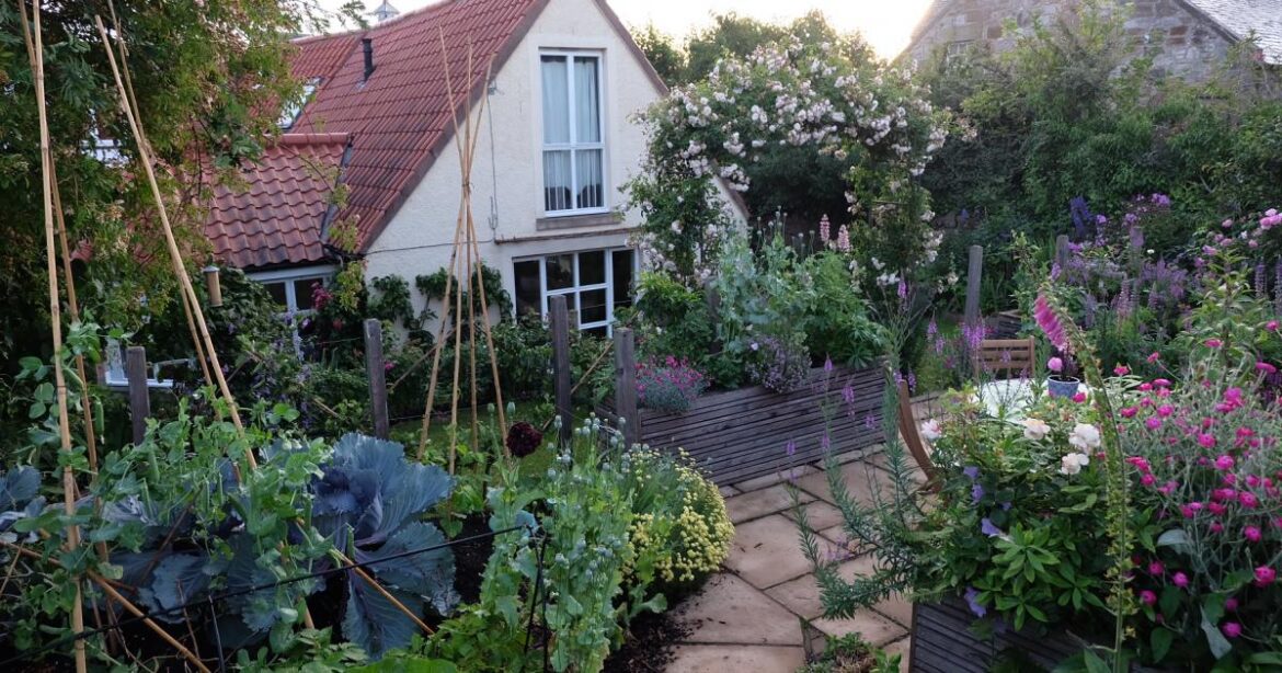 East Lothian garden shortlisted for Gardeners' World award