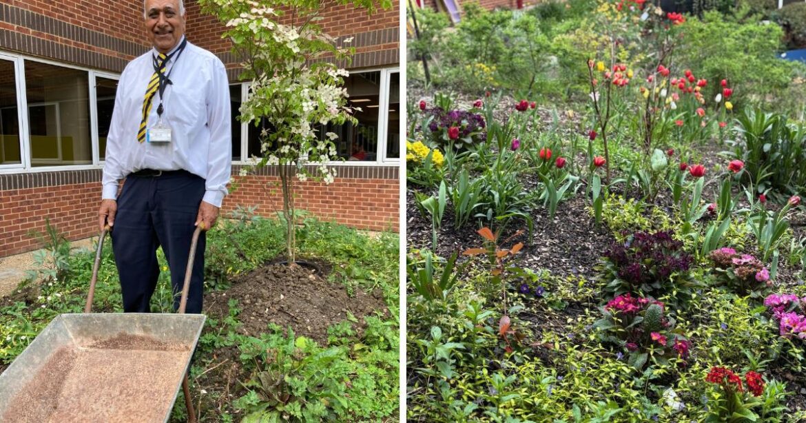 Aviva garden project grows into wider community effort