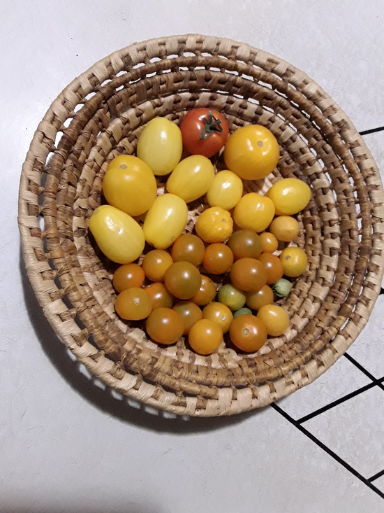 SMGB December 2025 1