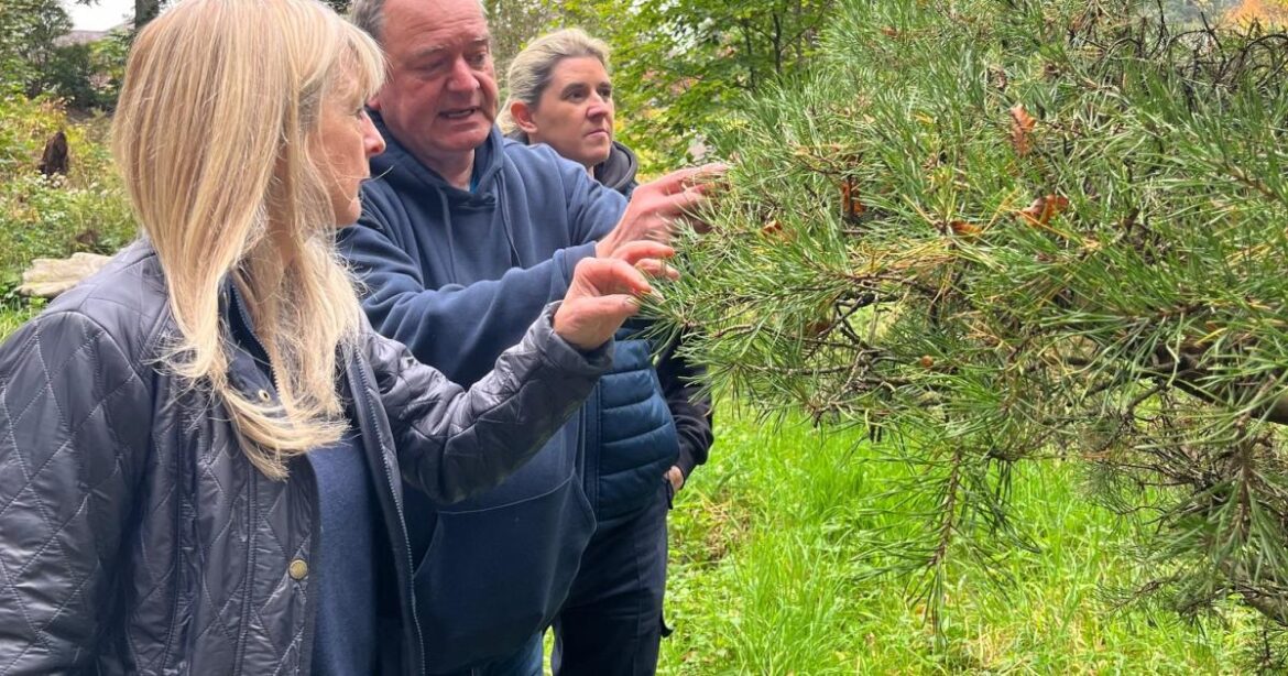 Aberglasney Gardens announces Winter Fair with new Gaeaf gin Aberglasney Gardens announces Winter Fair with new Gaeaf gin