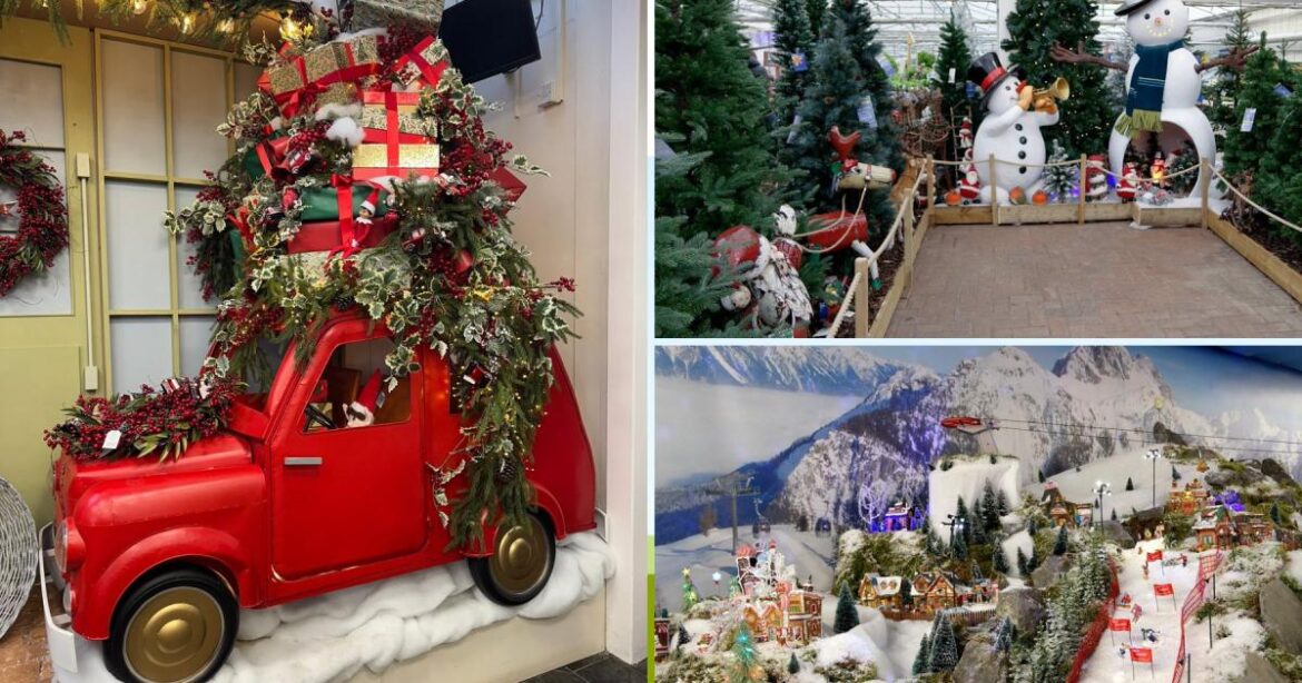 Best garden centres in Hertfordshire to visit at Christmas