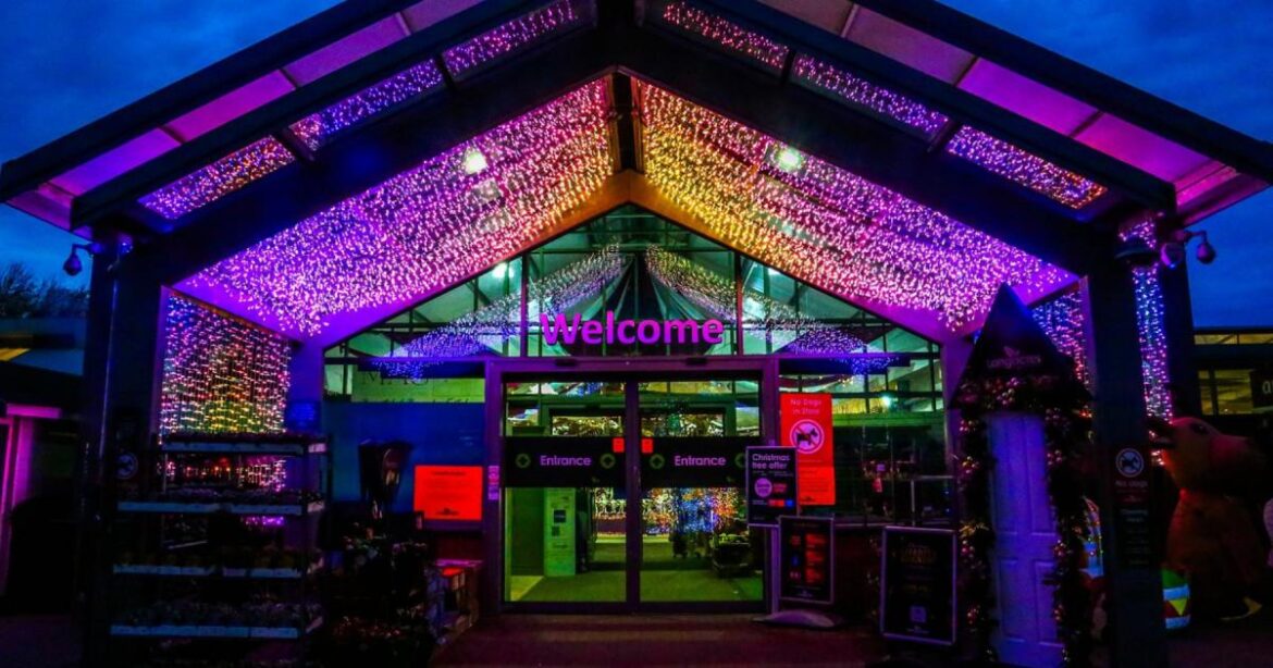 Best garden centres in Berkshire to visit at Christmas Best garden centres in Berkshire to visit at Christmas