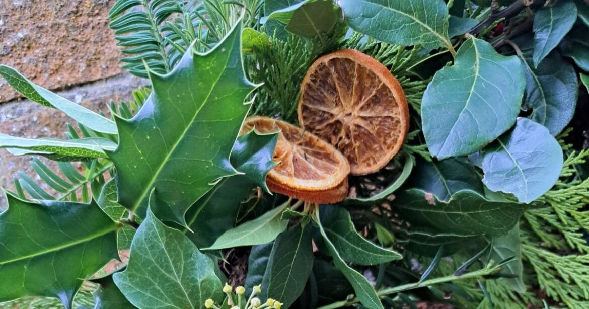 Expert advice on making a sustainable Christmas wreath Expert advice on making a sustainable Christmas wreath