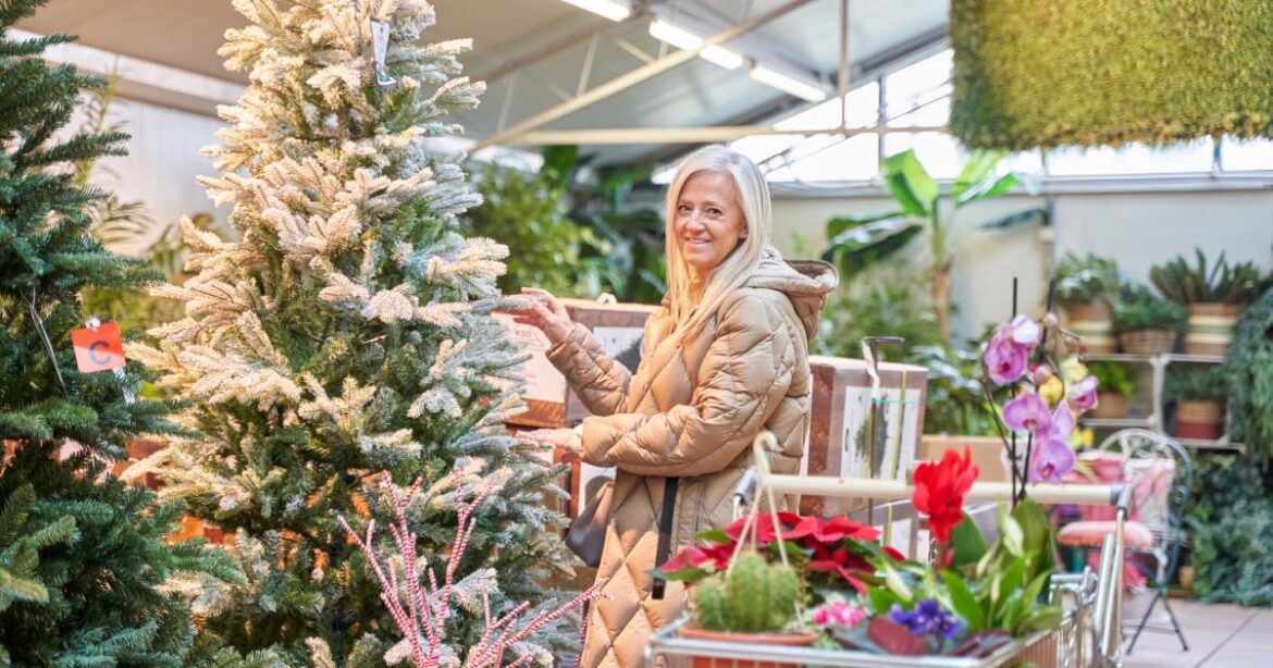 The 6 best Cumbria garden centres to visit this Christmas The 6 best Cumbria garden centres to visit this Christmas