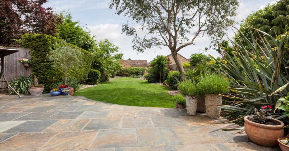 People urged to use washing powder in gardens to deter foxes People urged to use washing powder in gardens to deter foxes