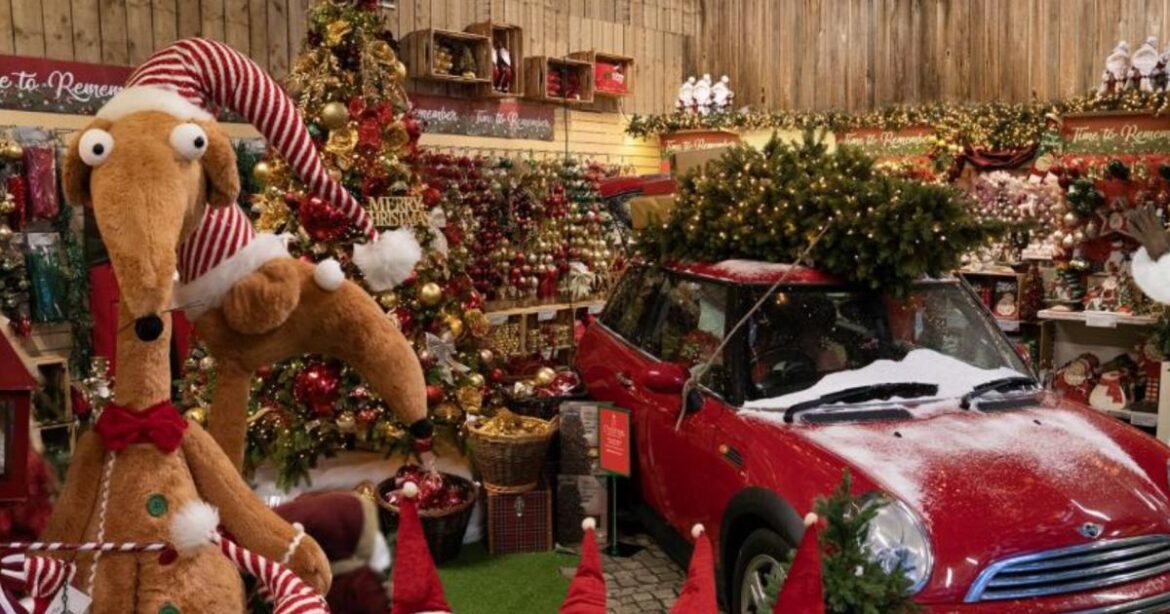 The five best garden centres in County Durham this Christmas The five best garden centres in County Durham this Christmas