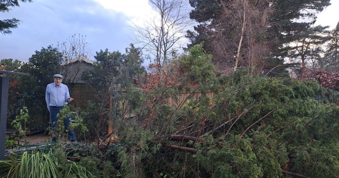 Ferndown pensioner's garden fence destroyed in storm