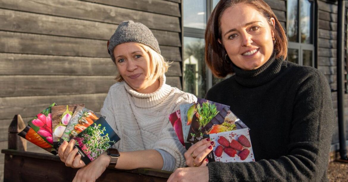 She Grows Veg moves into former Suffolk garden centre She Grows Veg moves into former Suffolk garden centre
