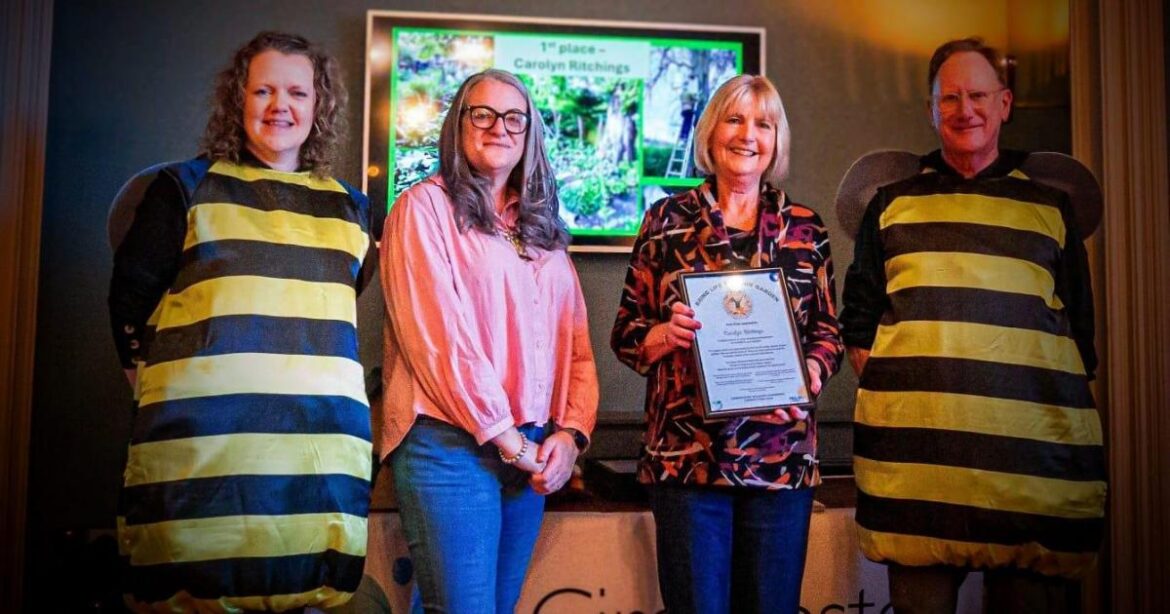 Cirencester competition rewards nature-friendly gardens Cirencester competition rewards nature-friendly gardens