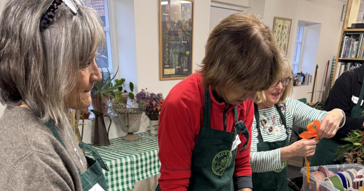 Norfolk School of Gardening shares December gardening tips Norfolk School of Gardening shares December gardening tips