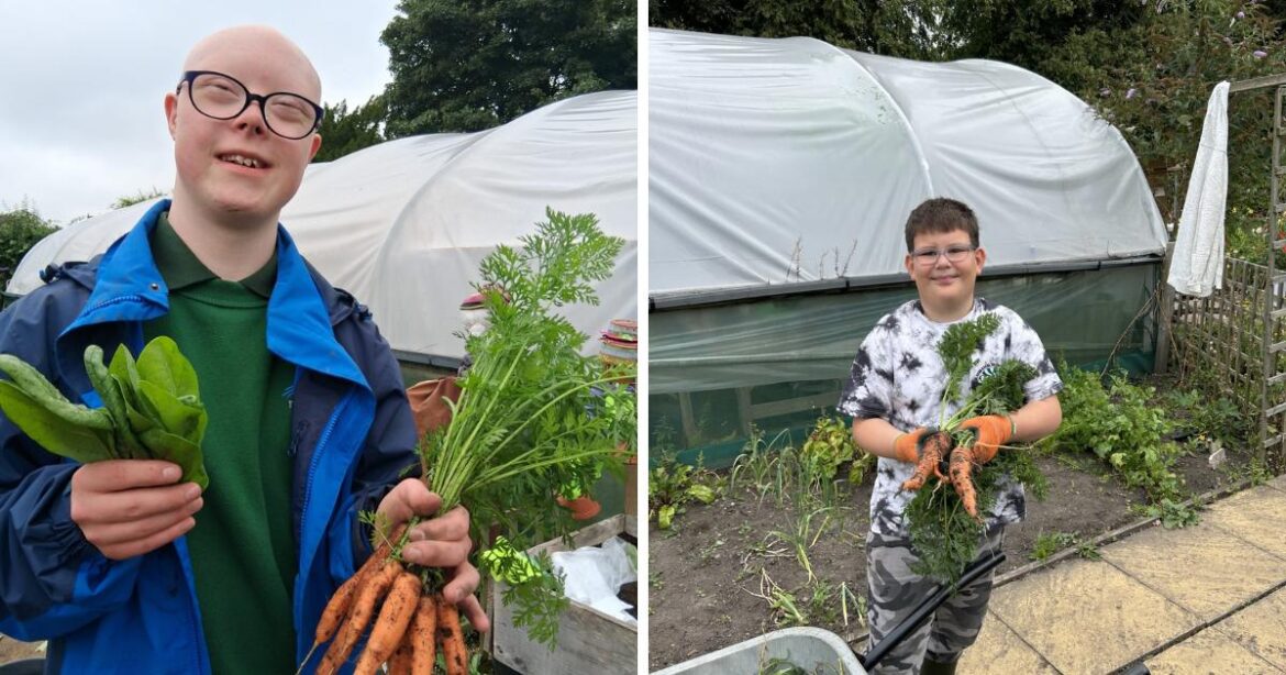 Alnwick Garden receives new support for lighting display Alnwick Garden receives new support for lighting display