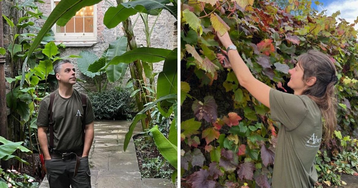 Pair of budding gardeners start at Aberglasney Gardens