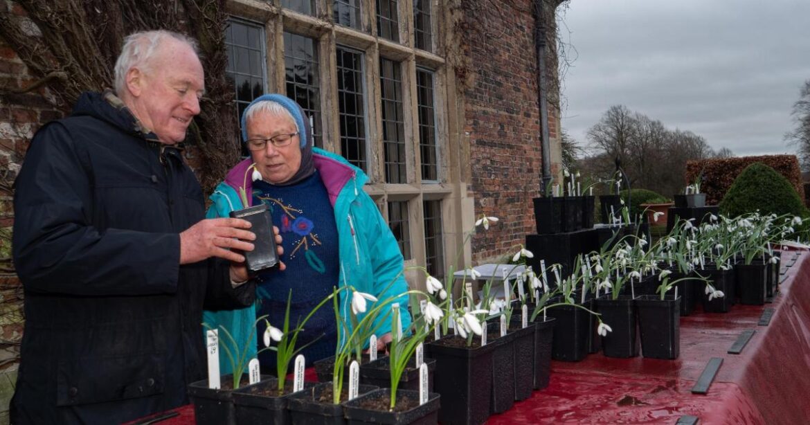 Tudor Croft Garden in Guisborough gets listed status Tudor Croft Garden in Guisborough gets listed status