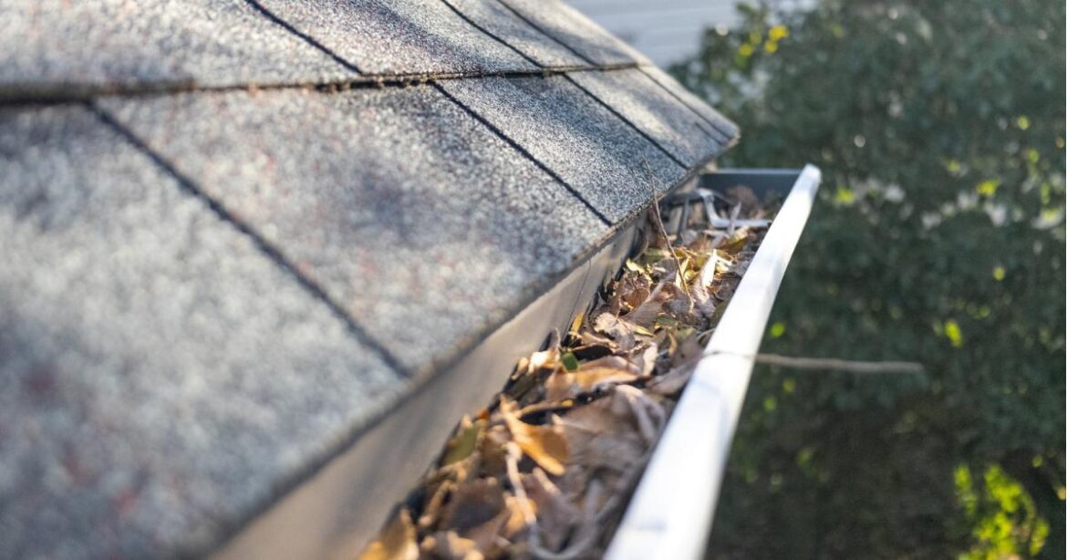 How often you should clean gutters to avoid £5k fine