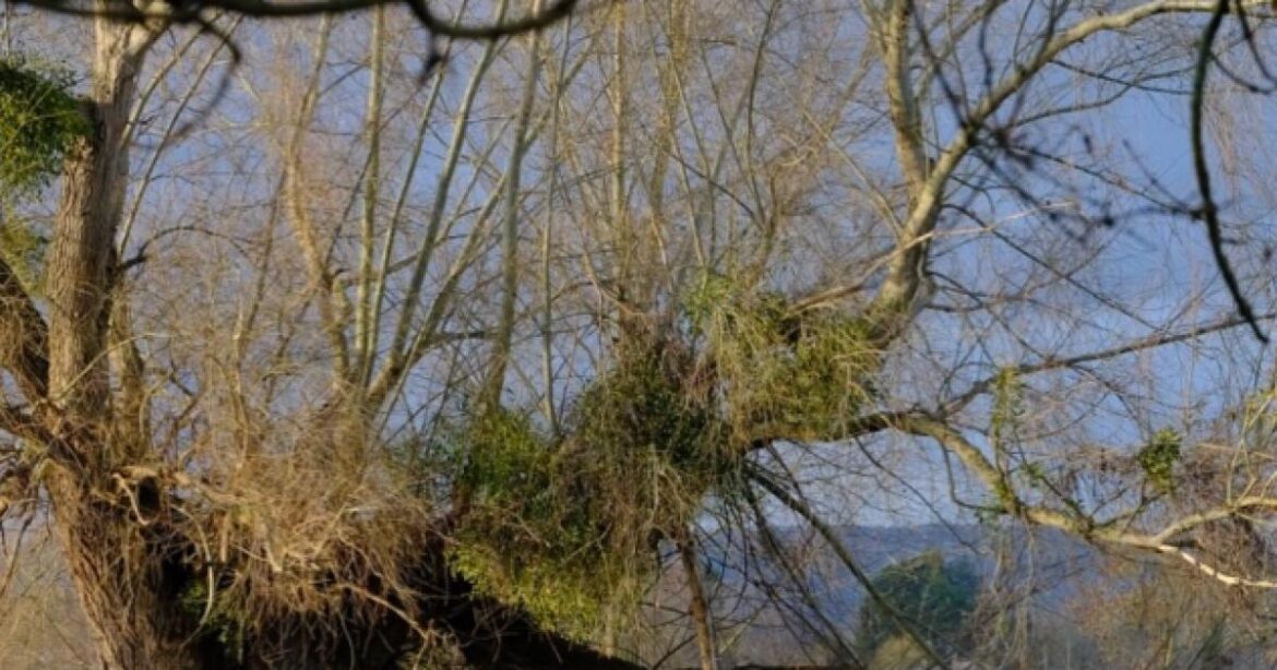 Gardeners' World star Monty Don shows new round of Hereford flooding