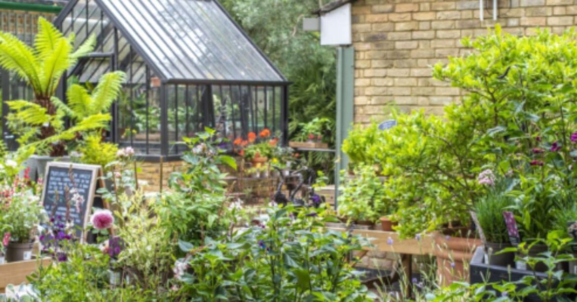 Kew commits to peat-free compost for all retail plants sold Kew commits to peat-free compost for all retail plants sold