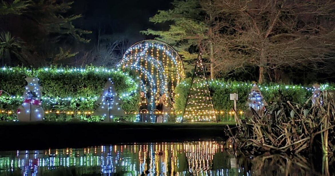Visitors flock to Rhyl lights trail at Botanical Gardens Visitors flock to Rhyl lights trail at Botanical Gardens