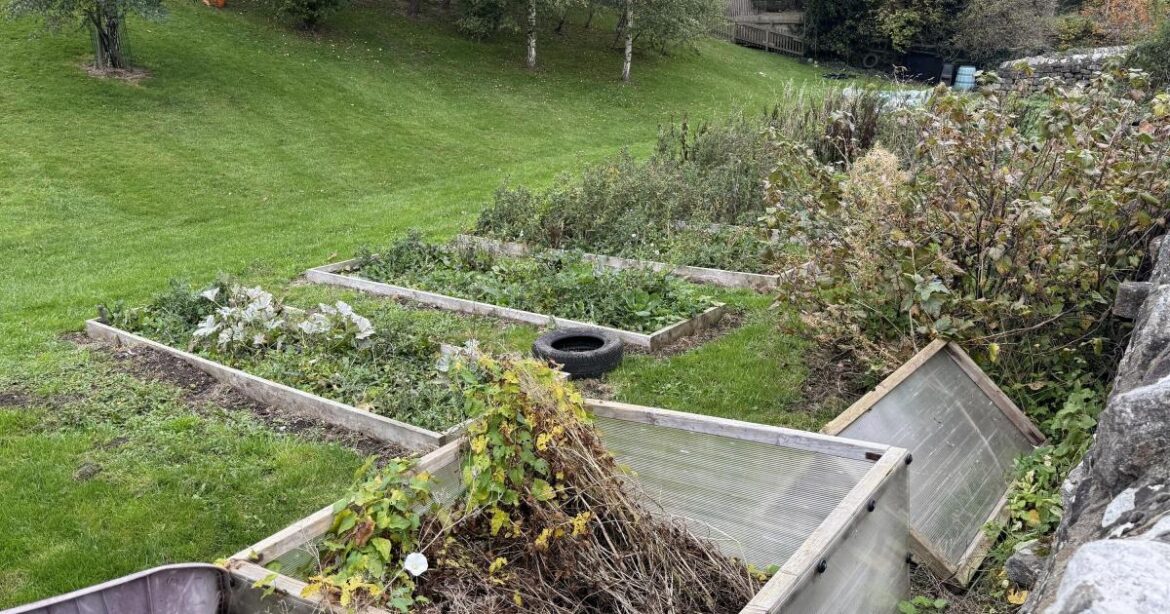 Darley Primary School gets £500 landscape gardener grant