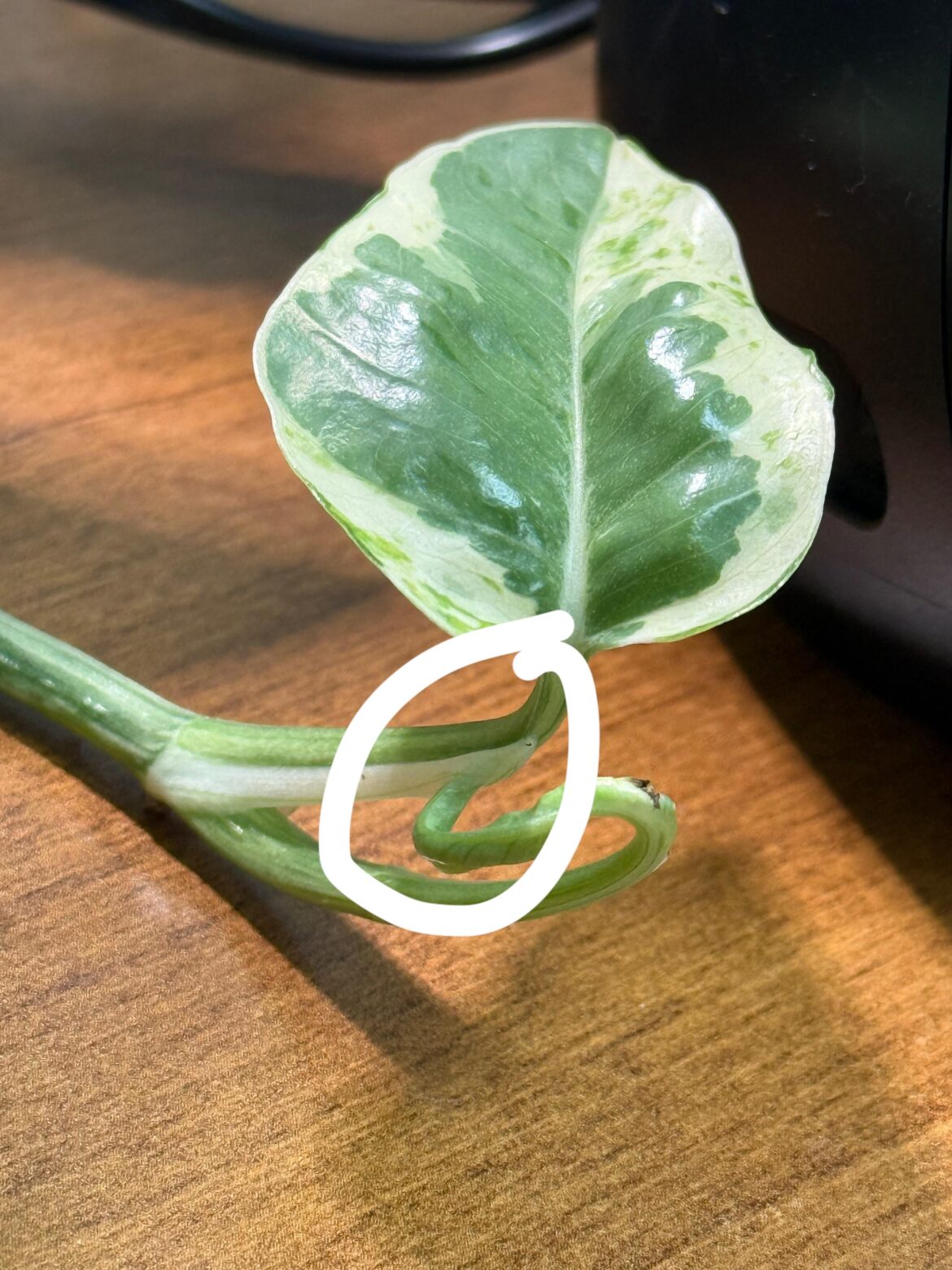 What is happening here?