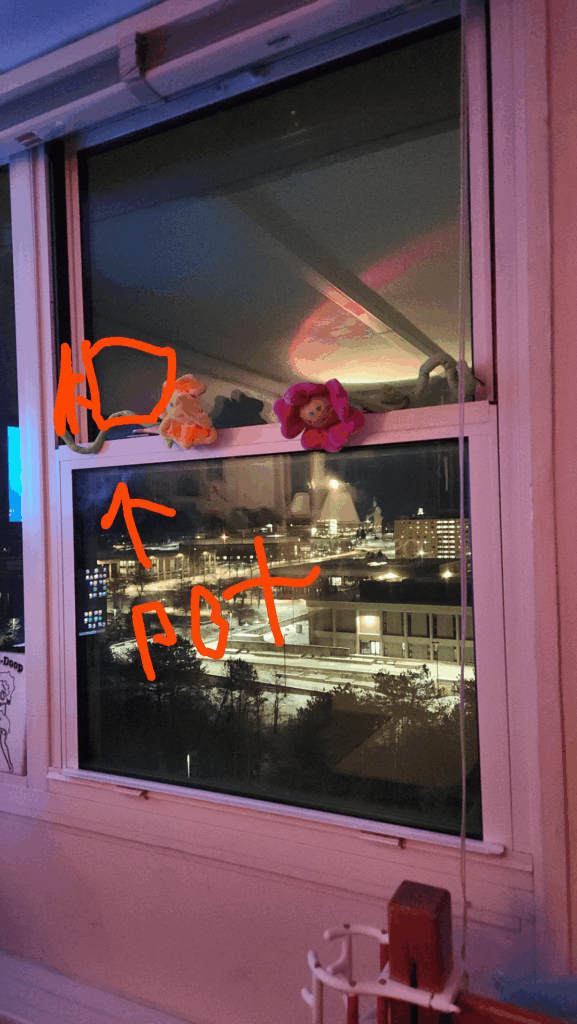 What's the plant for me?