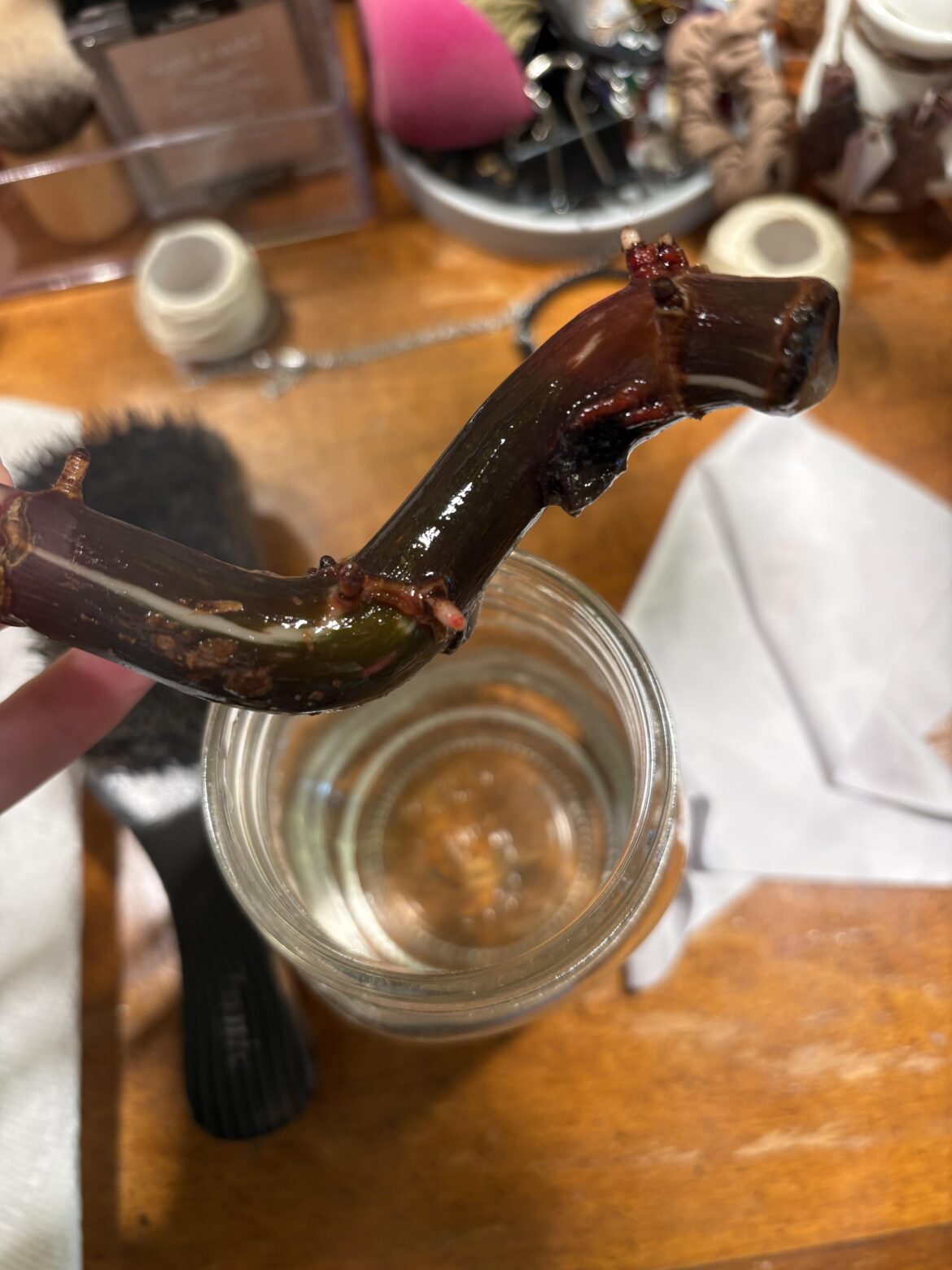 queue john lennon’s “Happy Xmas”