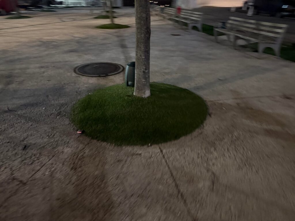 awful turf root flare burying thingd